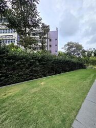 Margaret Ville (D3), Apartment #554046181